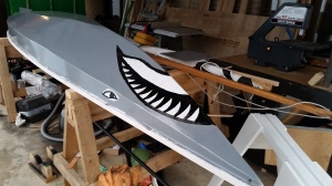 Shark face in progress
